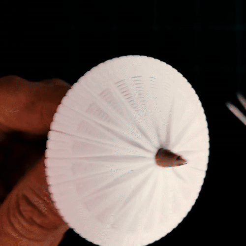 TOUPIE GIF SQUARE
